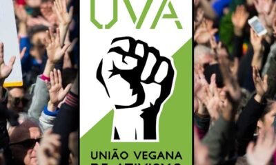 UVA e a carta de Recife
