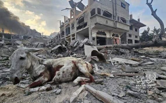 Historiador Rashid Khalidi : Palestinos vivendo debaixo de opressão inacreditável: “tinha que explodir”